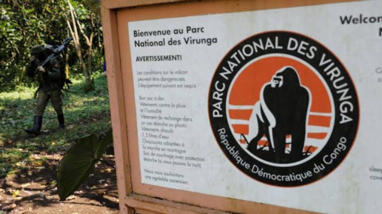 Nord-Kivu : Le Parc des Virunga mise sur l’agriculture pour relancer l’économie locale