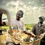 Procès Constant Mutamba : sécurité renforcée après le report du verdict dans l’affaire Mutamba